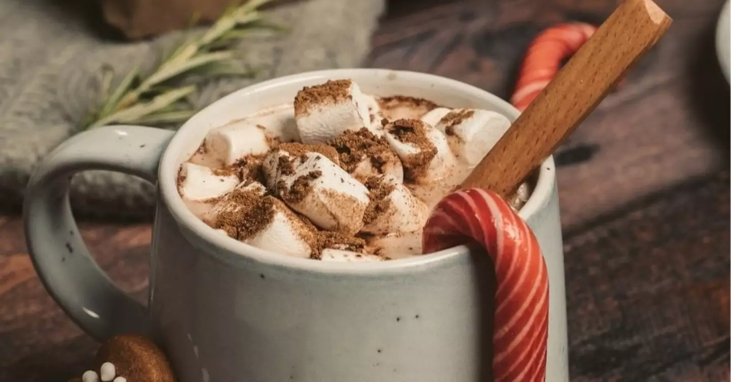 Hot cocoa and hot chocolate are two different drinks! (