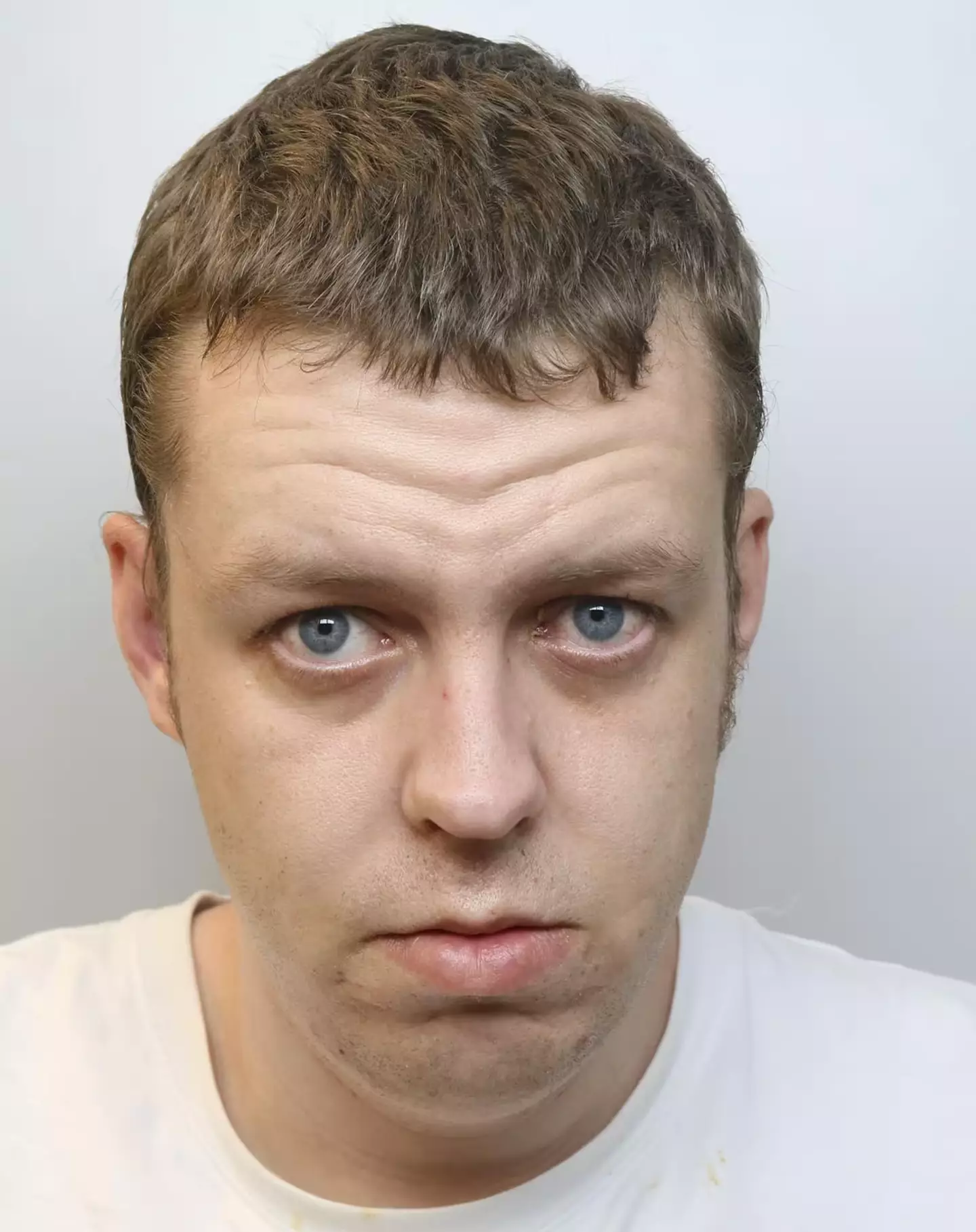 Matthew Hardy was sentenced to prison.