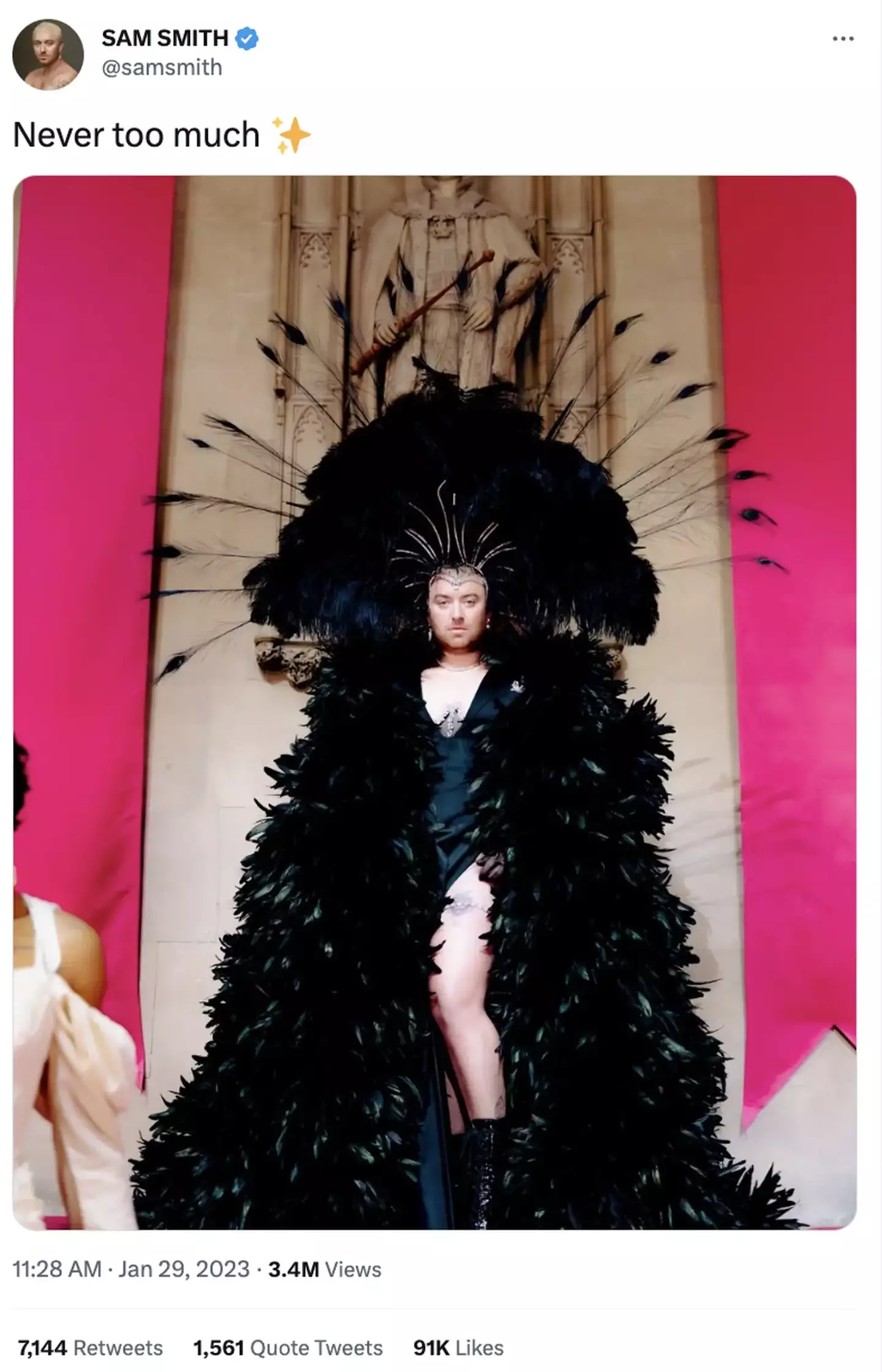 Sam Smith has laughed off recent criticism, with a cheeky tweet showing the singer in a stunning feather outfit.