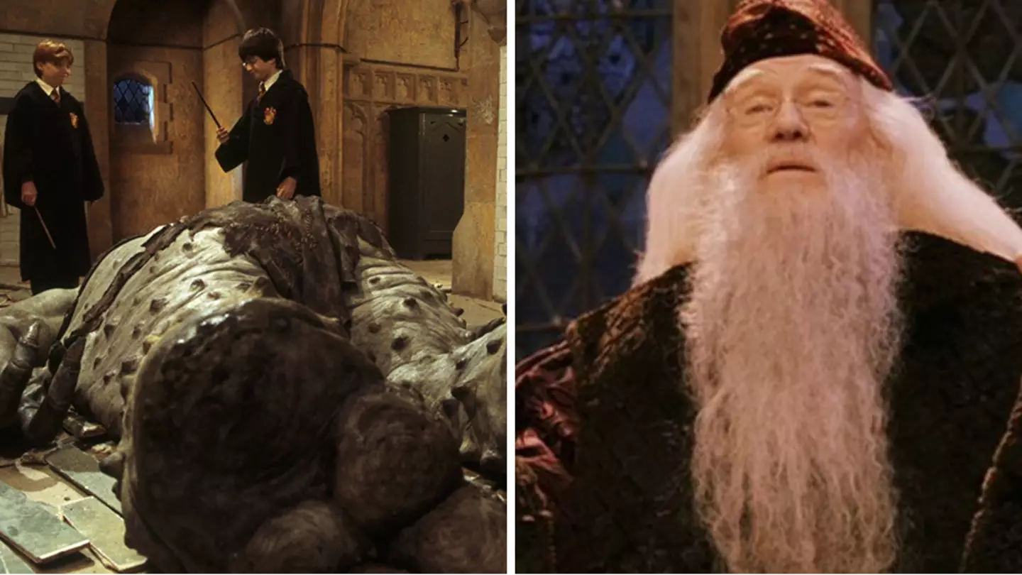 Harry Potter Fans Are Questioning Dumbledore's 'Troll' Decision In Philosopher's Stone