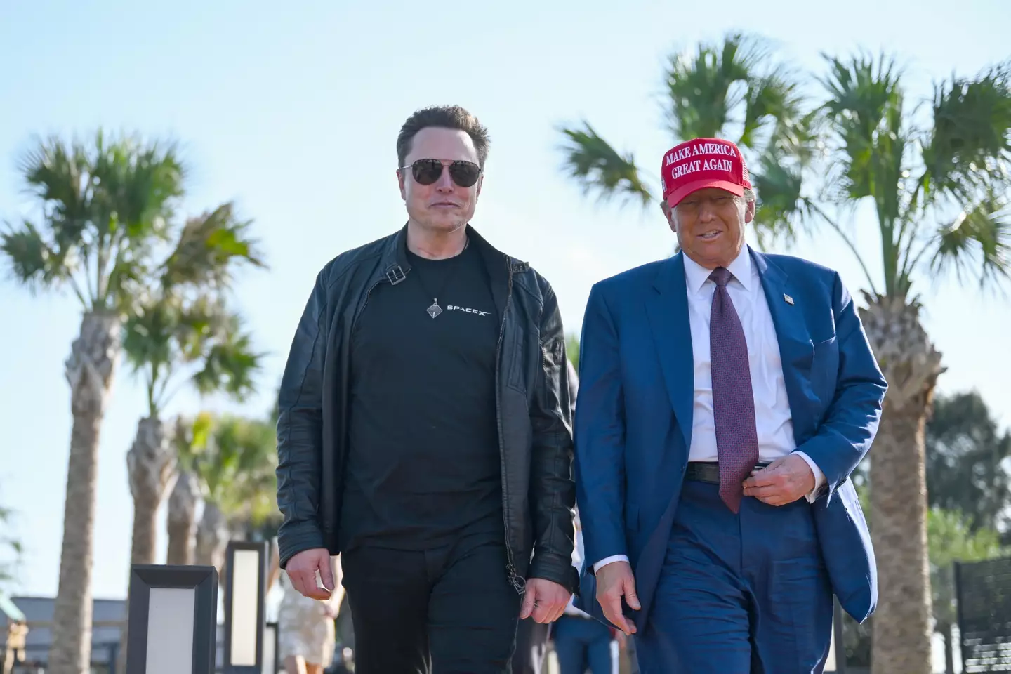 Have Musk and Trump had a falling out? (Brandon Bell/Getty Images)