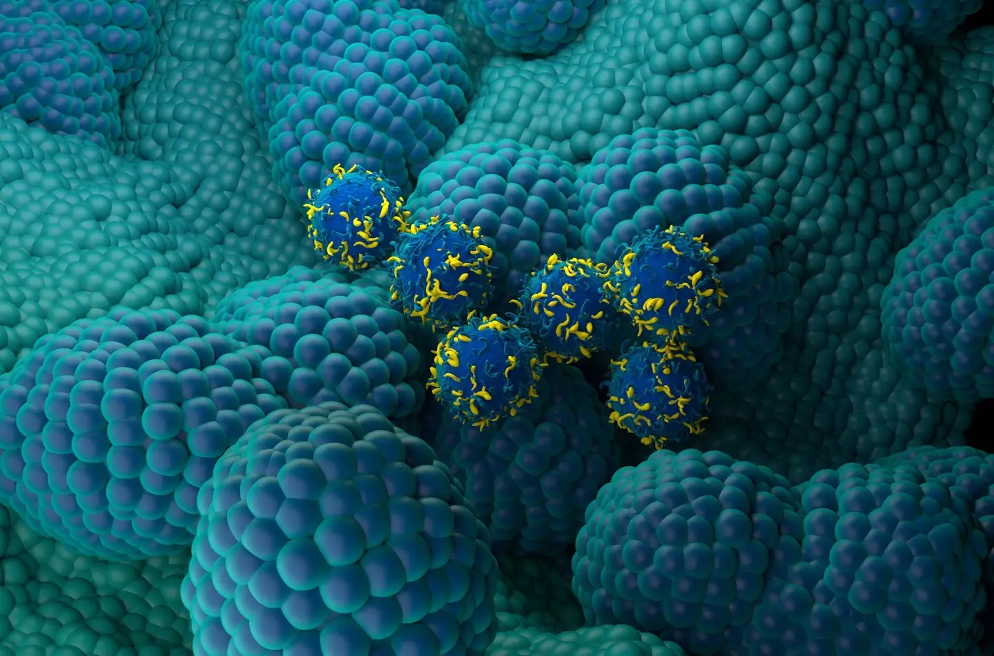 Scientists were researching cancer in the prostate when they found something else (Getty Stock Image)