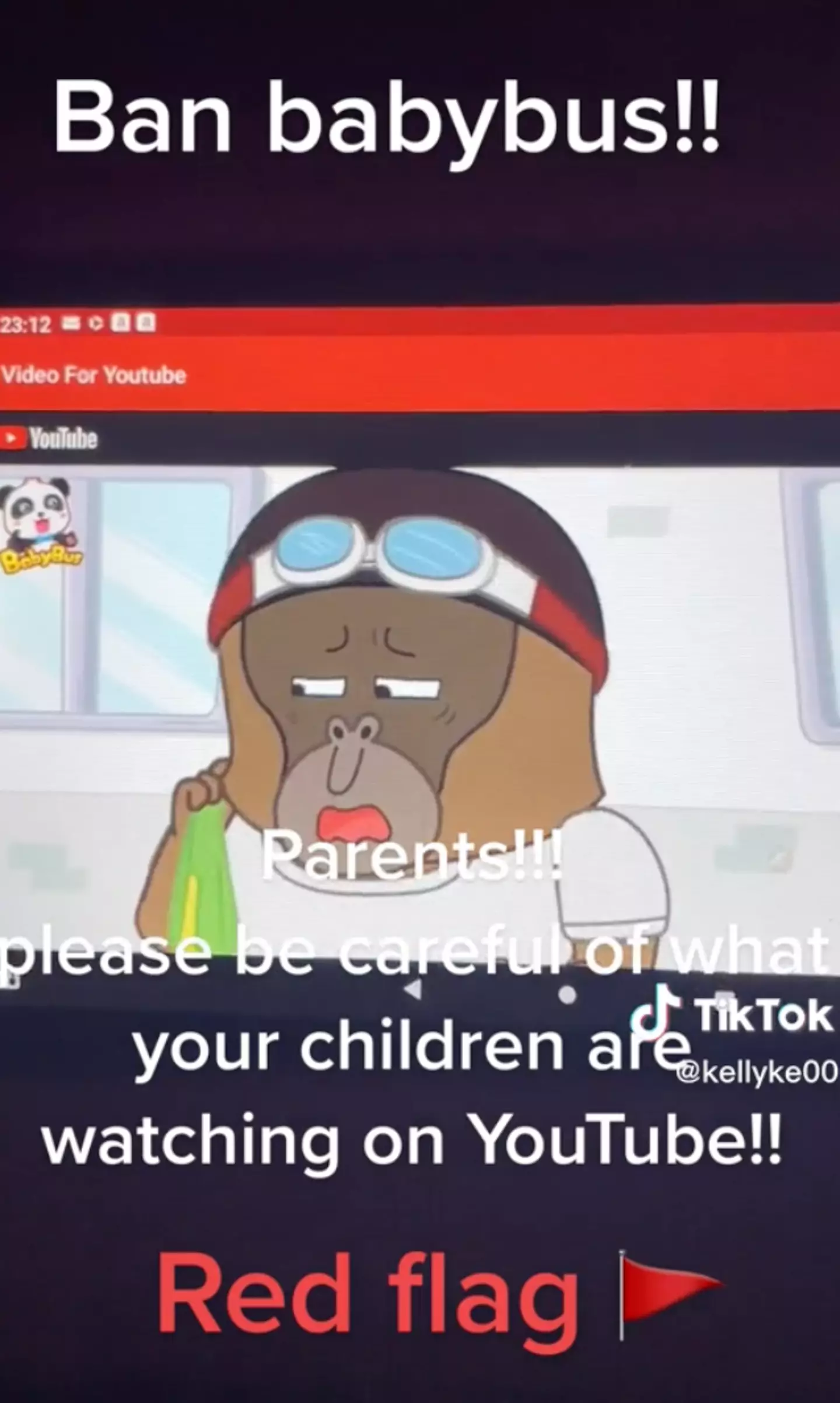 This mum is calling for BabyBus to be banned.