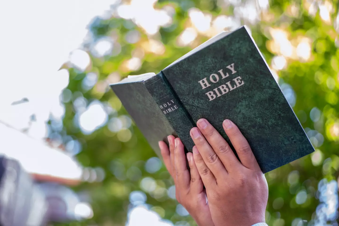 Davis previously described the Bible as 'infallible' (Scott Strazzante/San Francisco Chronicle via Getty Images)