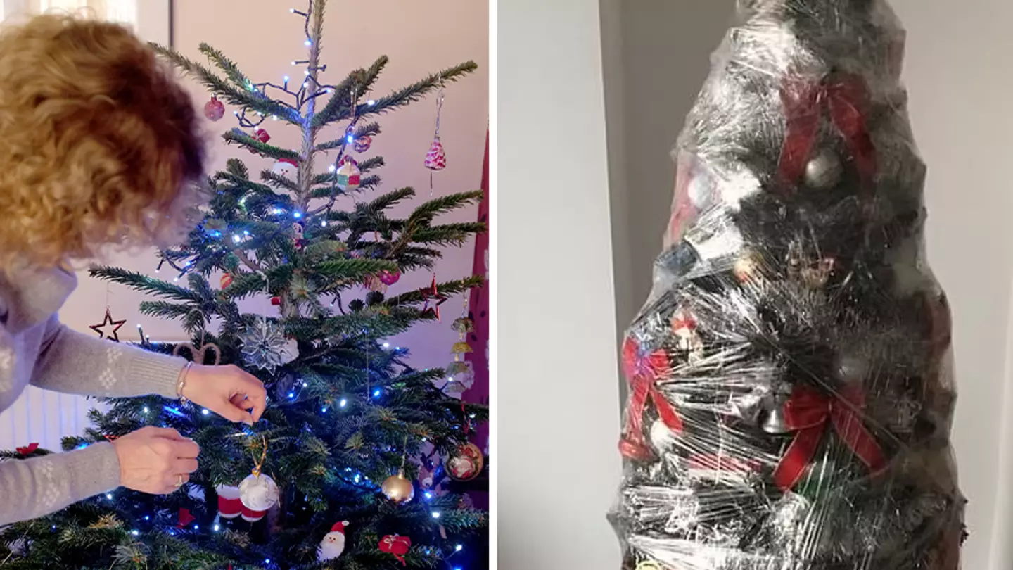 Man wins Christmas with cling-film wrap tree hack so it's ready for next year