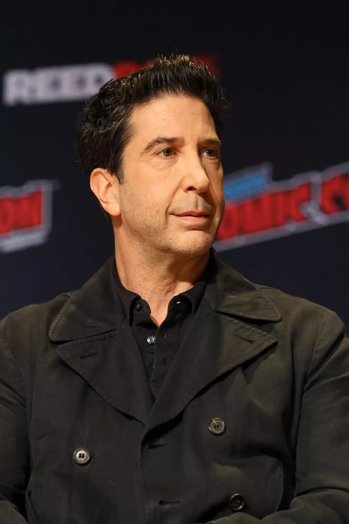 Schwimmer pleaded with X owner Elon Musk (Marleen Moise / Stringer / Getty)