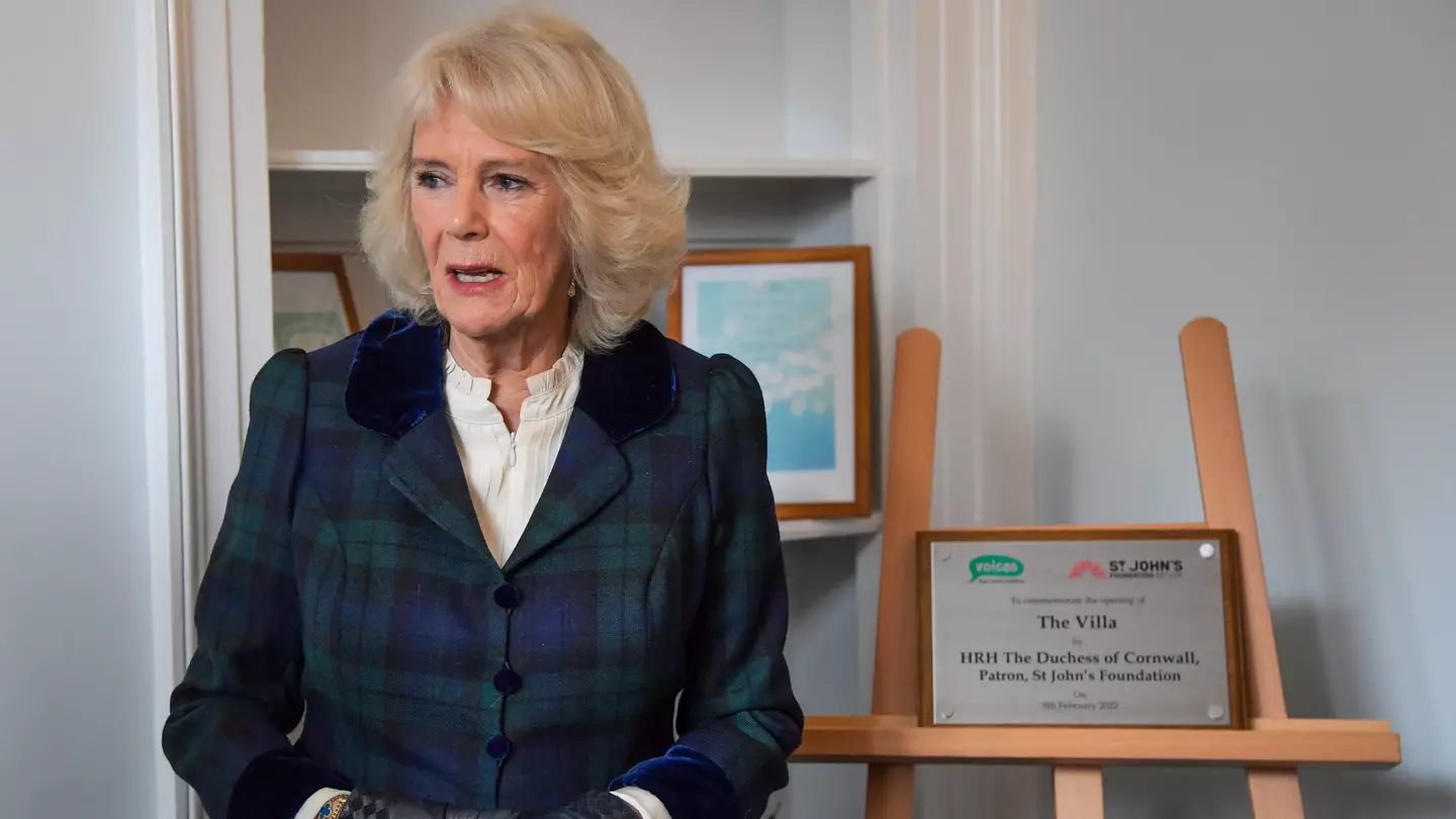 Camilla Breaks Silence On New Title