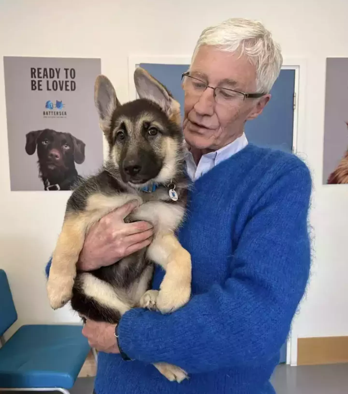 Paul was well-known for his love of animals. Instagram/@paulogrady