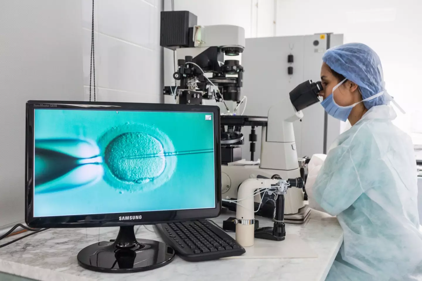 A technician carrying out IVF.