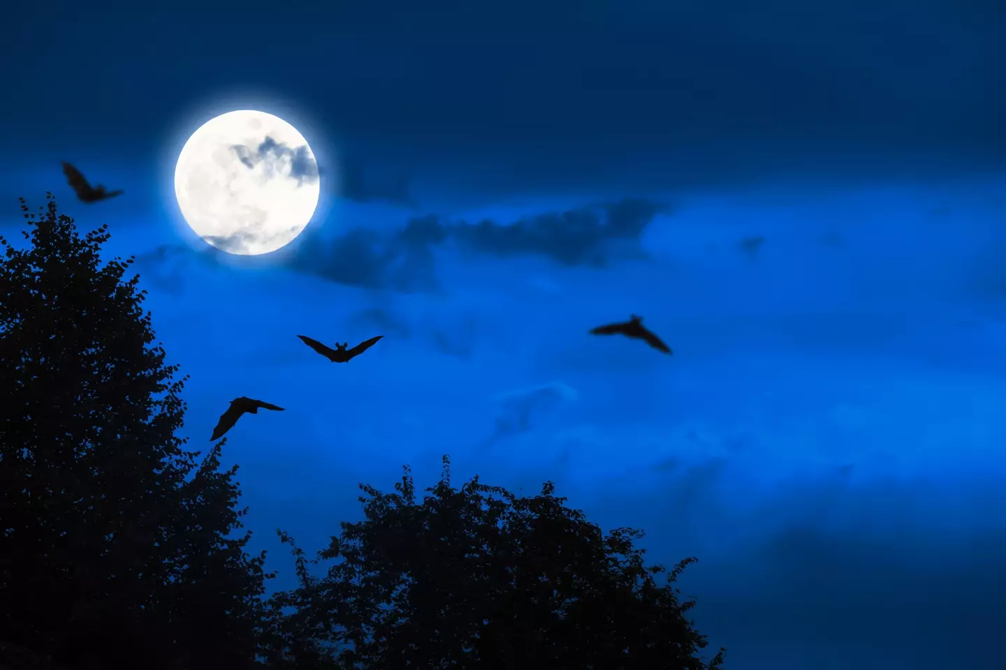 Three zodiac signs in particular will be affected most by Halloween (winyuu / Getty Images)