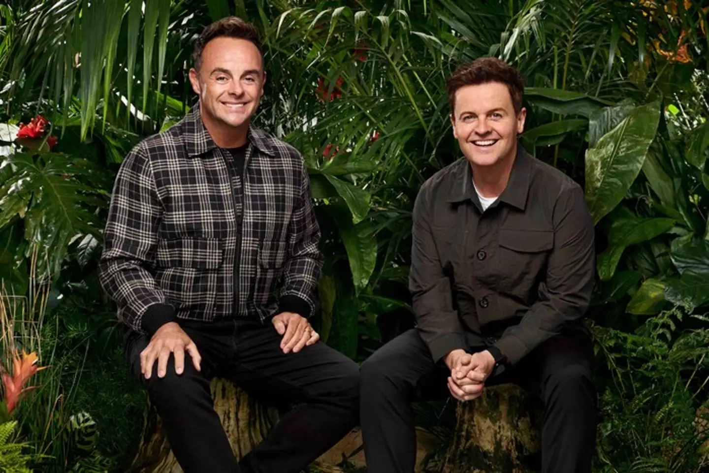 Ant and Dec will be back for the new series (ITV)