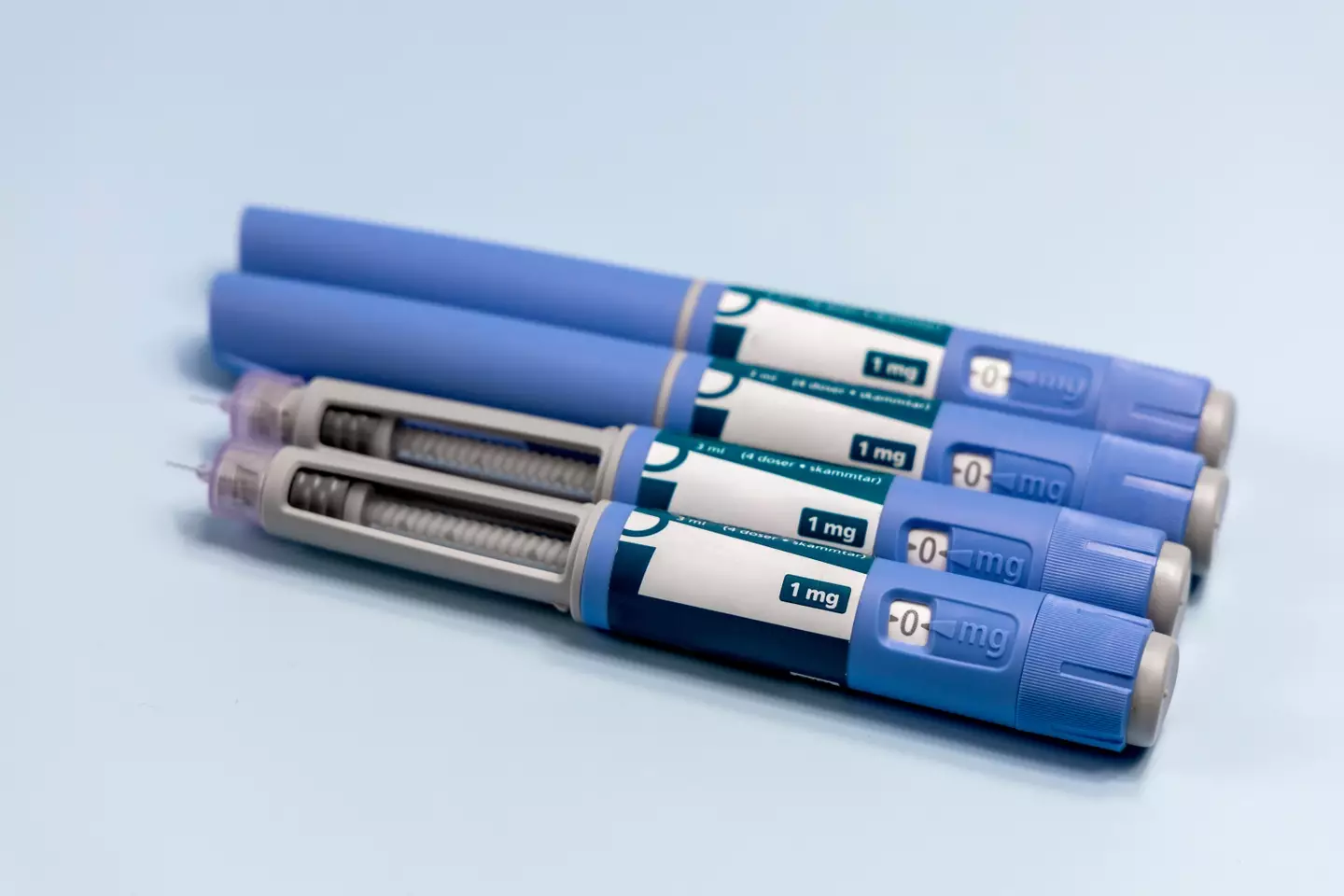 An American biotech firm wants to crack down on doggy obesity with a pet version of Ozempic (Getty Stock Images)