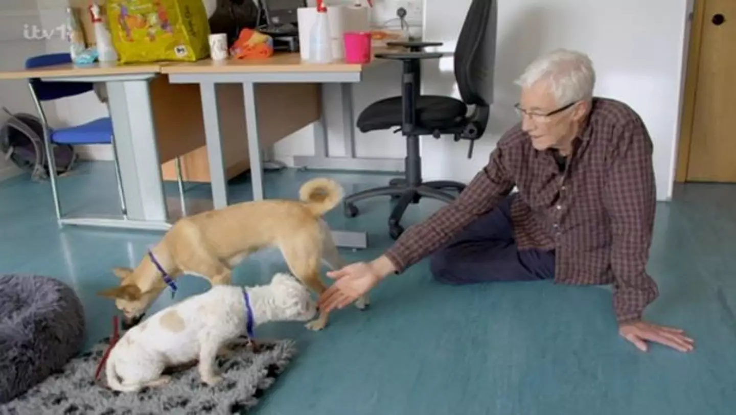 Donations have flooded in since O'Grady's death.