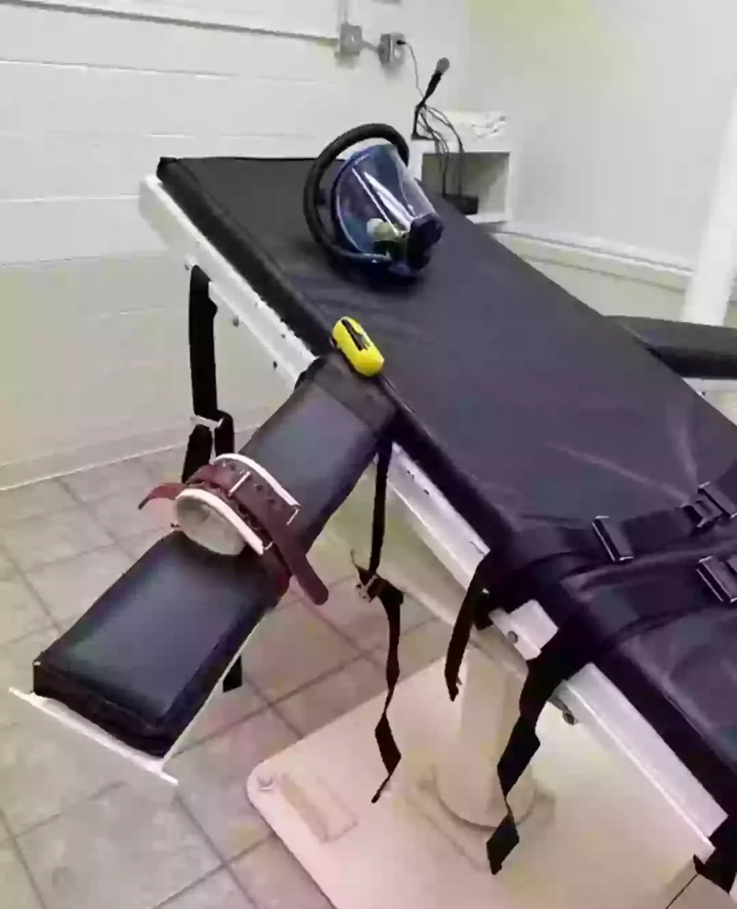 The execution method using nitrogen gas was formerly banned for use on animals (Louisiana State Court)