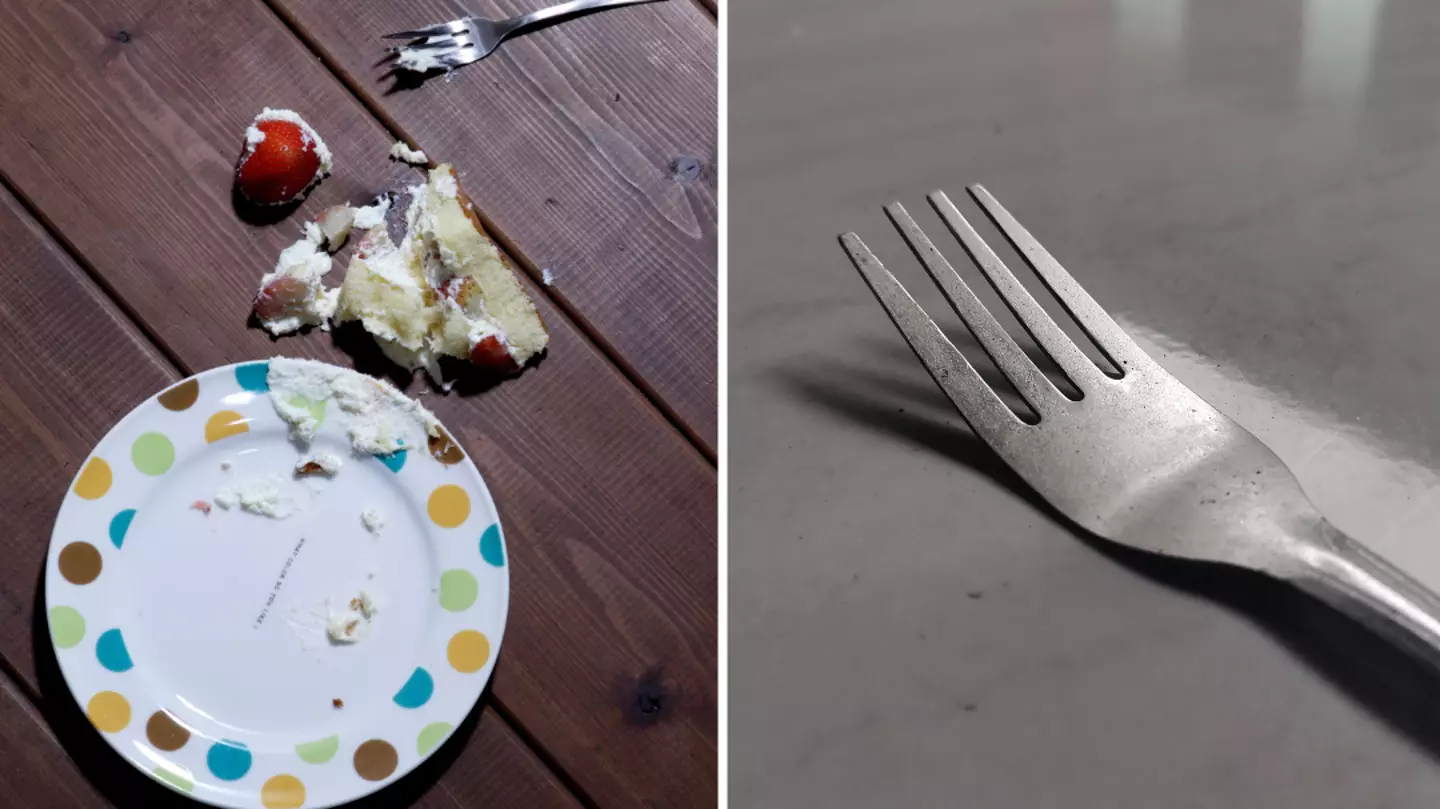 Scientists have warning for anyone who follows ‘five second rule’