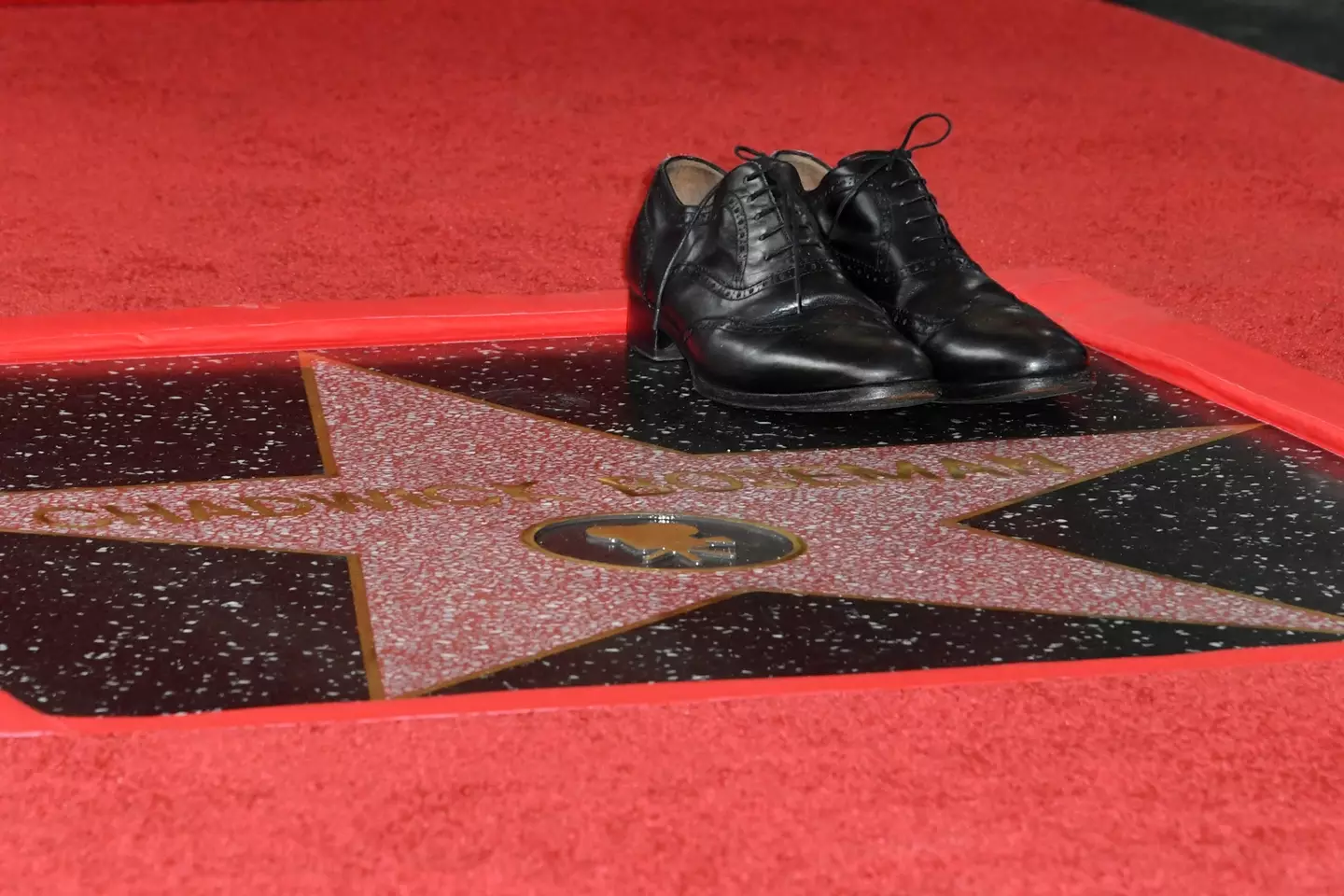 Boseman's shoes were placed on the star (UNIQUE NICOLE/AFP via Getty Images)