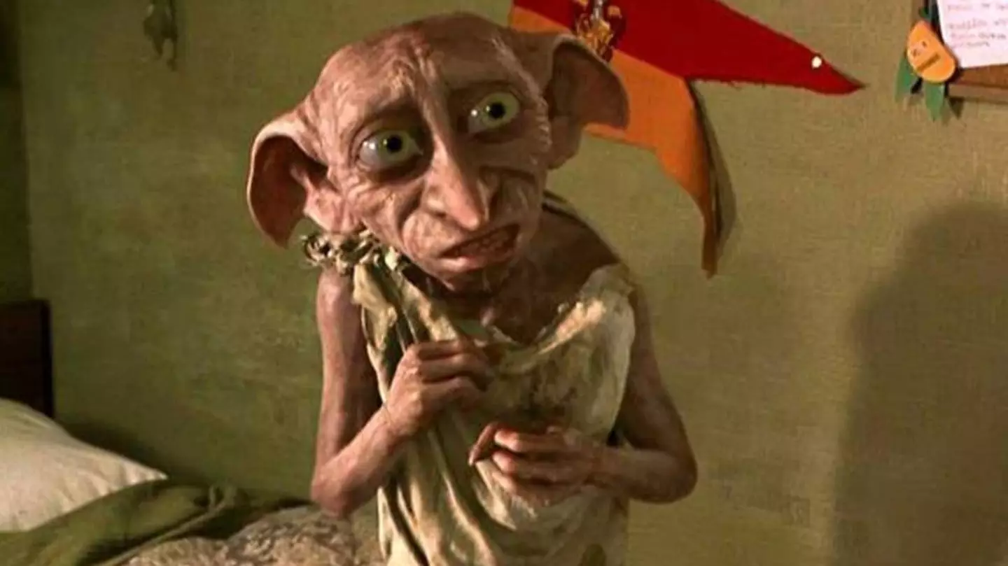 Dobby is loved by fans. (