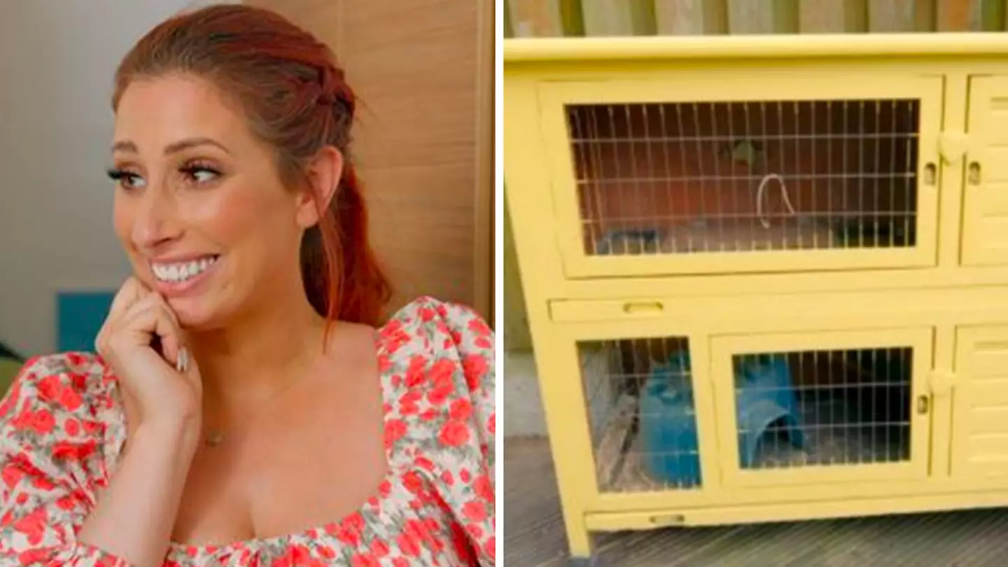 Stacey Solomon's TV show hit with over 1,500 animal cruelty complaints