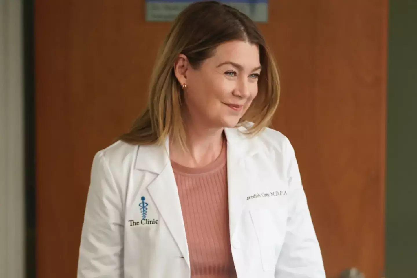 Ellen Pompeo as Meredith Grey (ABC)