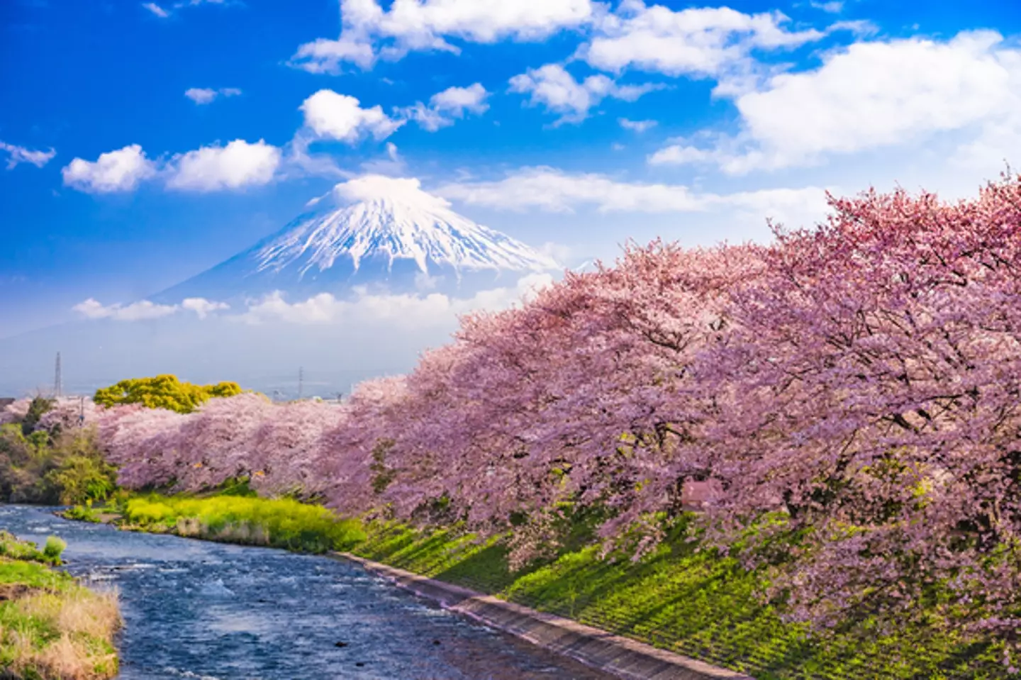 Passengers will be able to explore the wonders of Japan.
