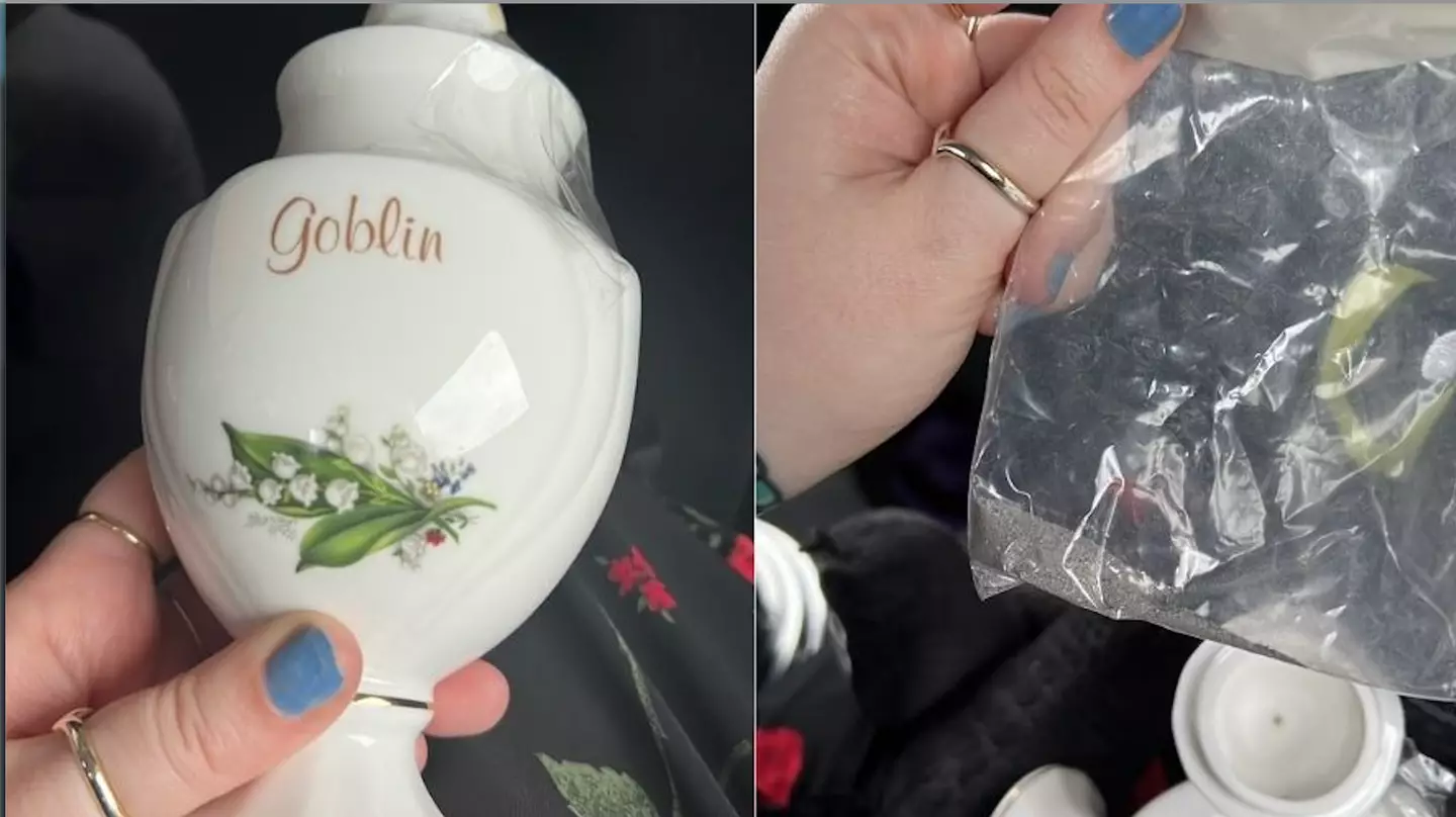 A woman was terrified to find what had been left inside her charity shop purchase. (