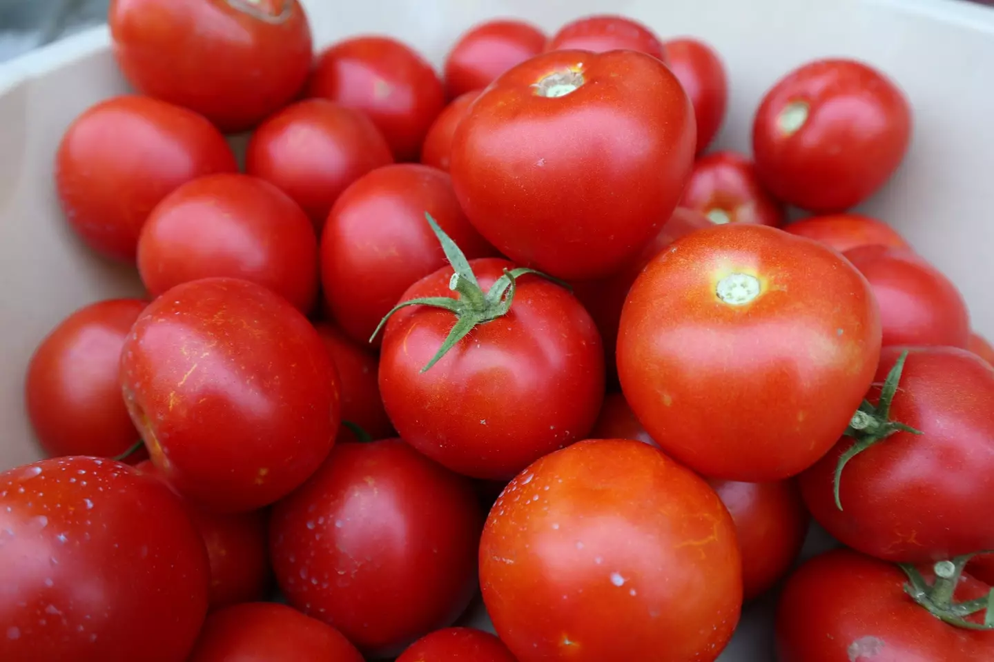 Tomatoes may also be the culprit (