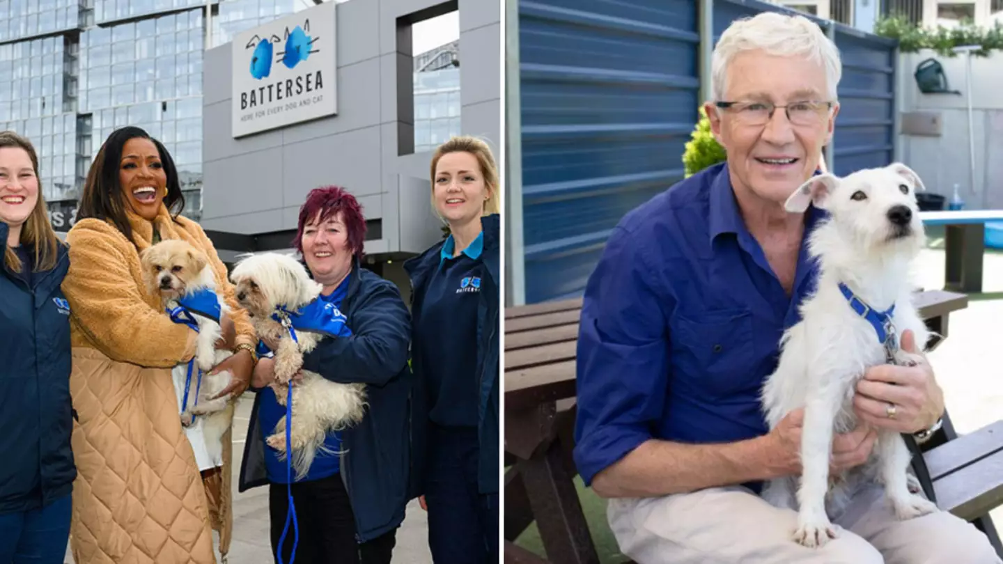 ITV/Battersea Dogs & Cats Home