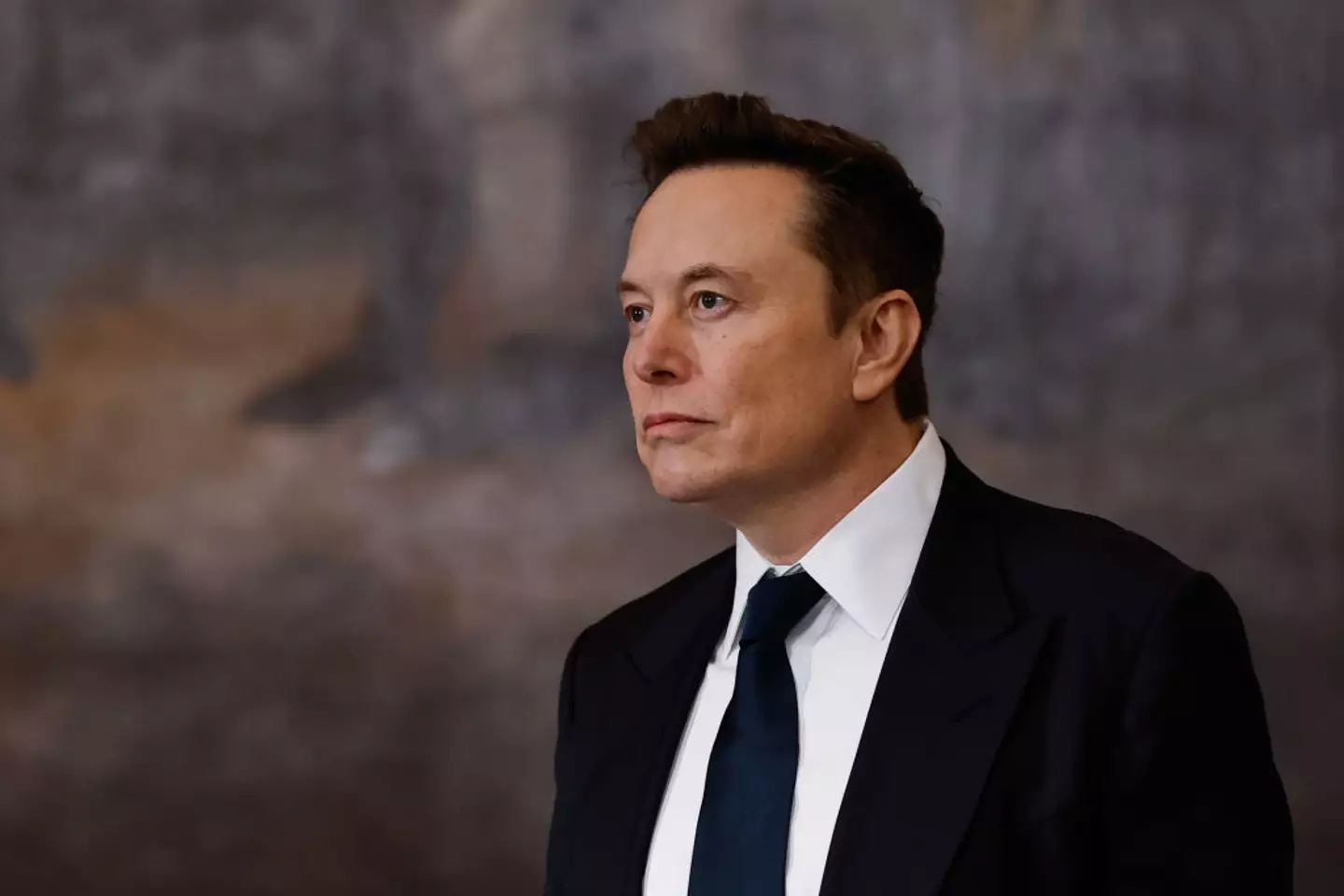 Elon reportedly has no relationship with his father (Chip Somodevilla/Getty Images)