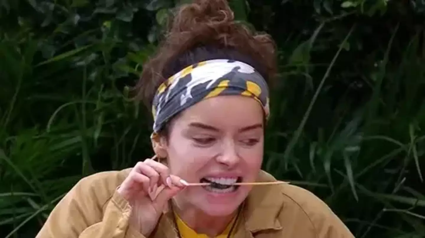 Animal welfare charities are calling for an end to eating challenges on the show. (ITV)
