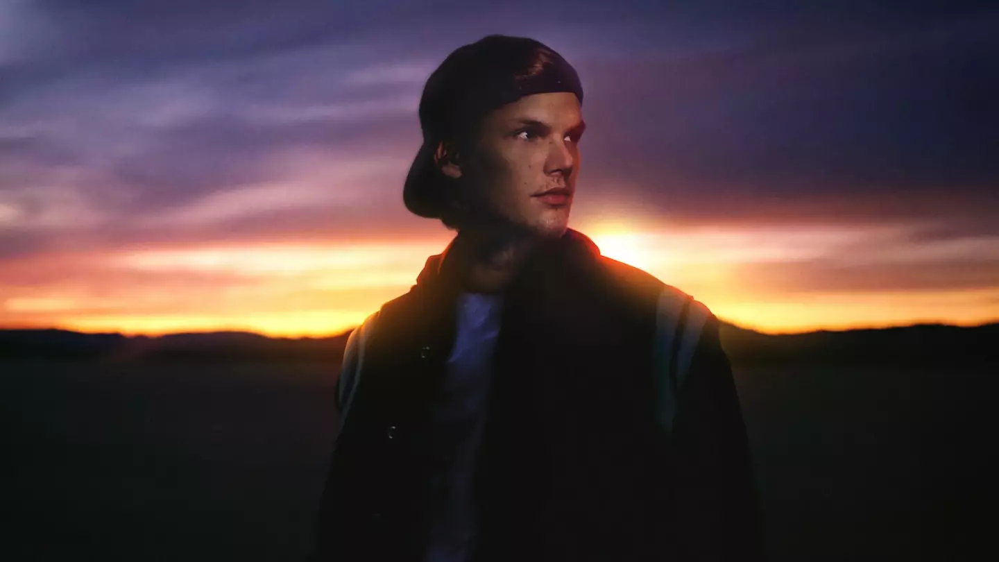 Avicii died aged just 28 (Netflix)
