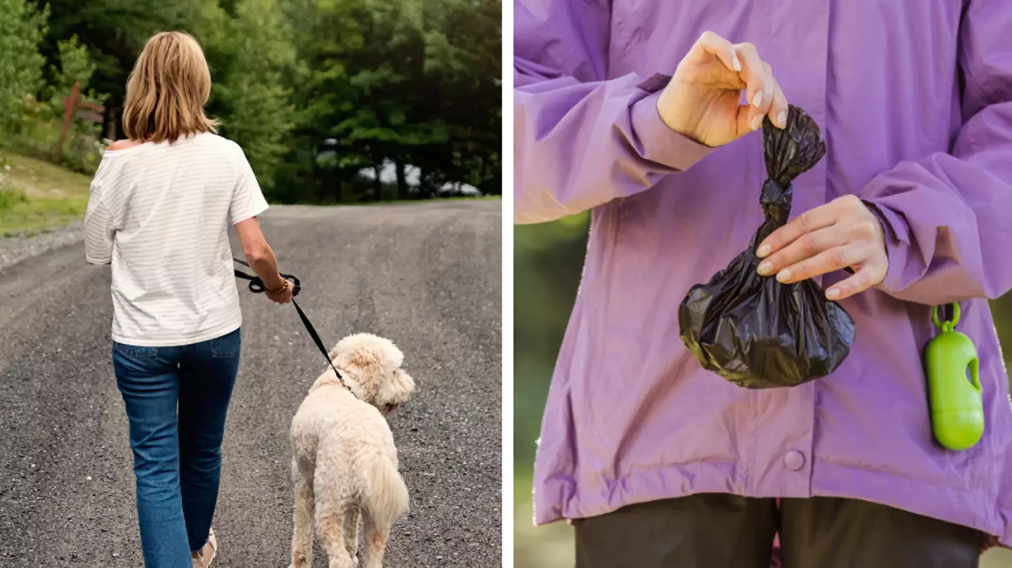 Woman defends putting dog poo in her neighbours' bins