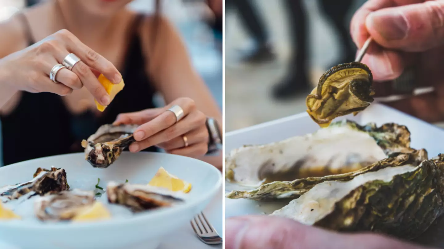 Grim reality of what actually happens when you eat an oyster might make you think twice about trying it
