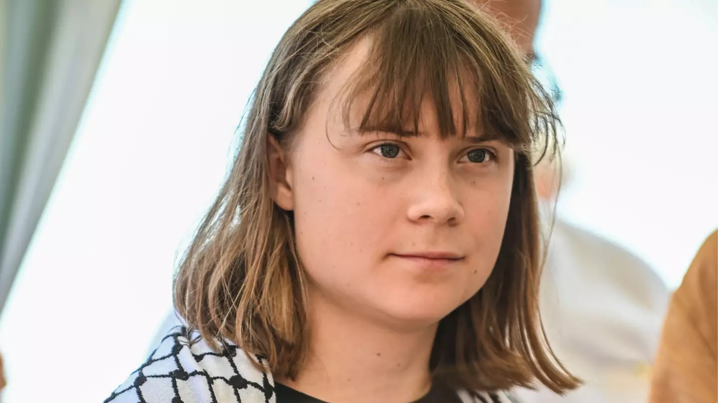 Greta Thunberg deported after claiming Israel 'kidnapped' her on way to Gaza