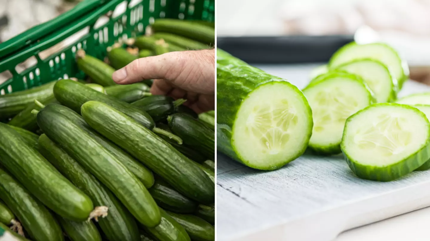 Salmonella outbreak linked to cucumbers leaves hundreds of people ill