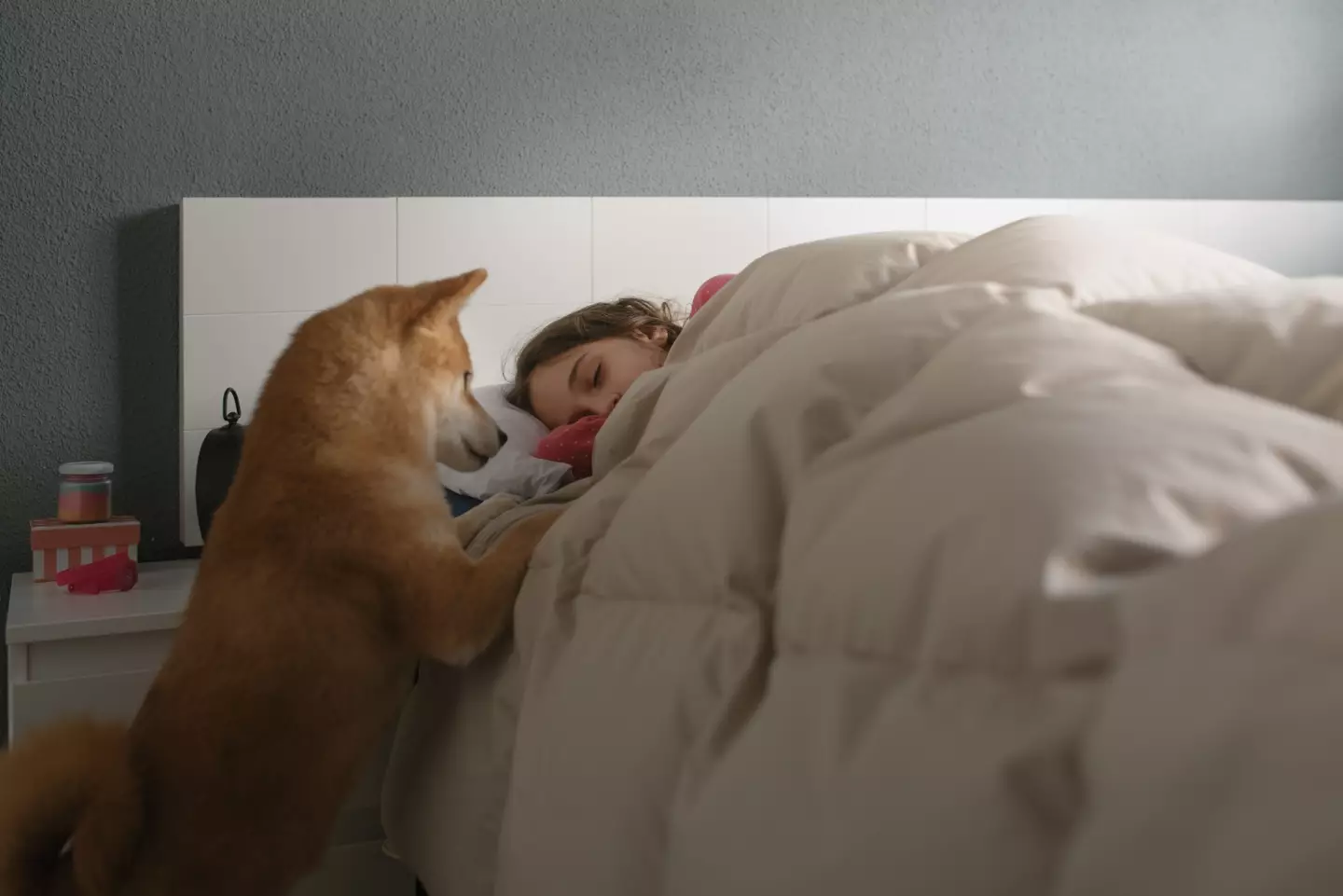 The grim truth that hides behind your covers will shock you (Getty Images)