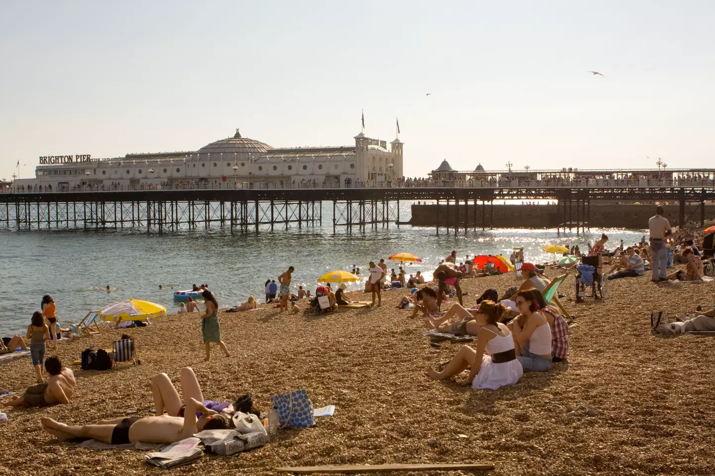 Brighton Beach is one of those greatly impacted by sewage spills.