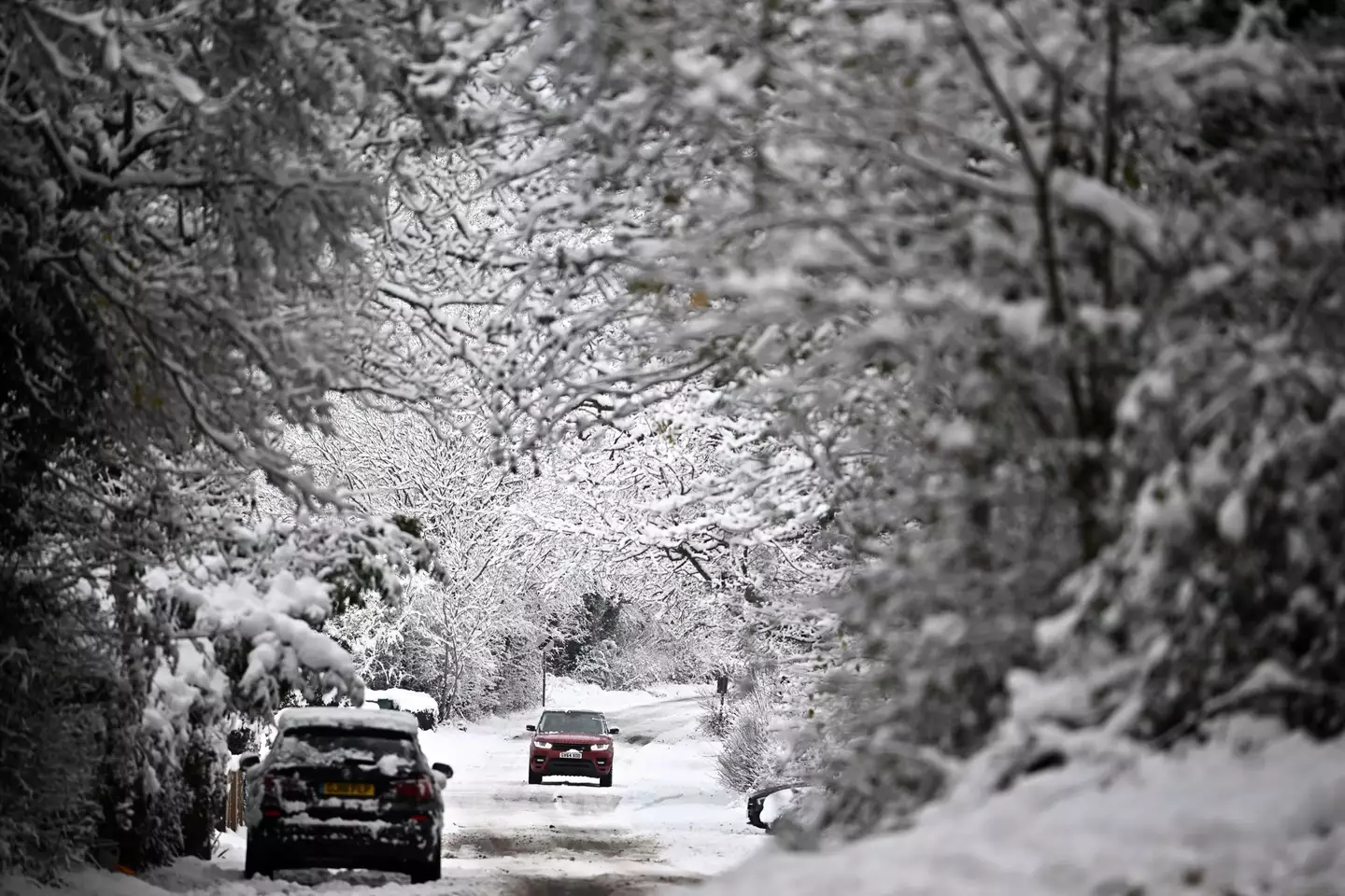 It's about to get a whole lot chillier next week (BEN STANSALL/AFP via Getty Images)