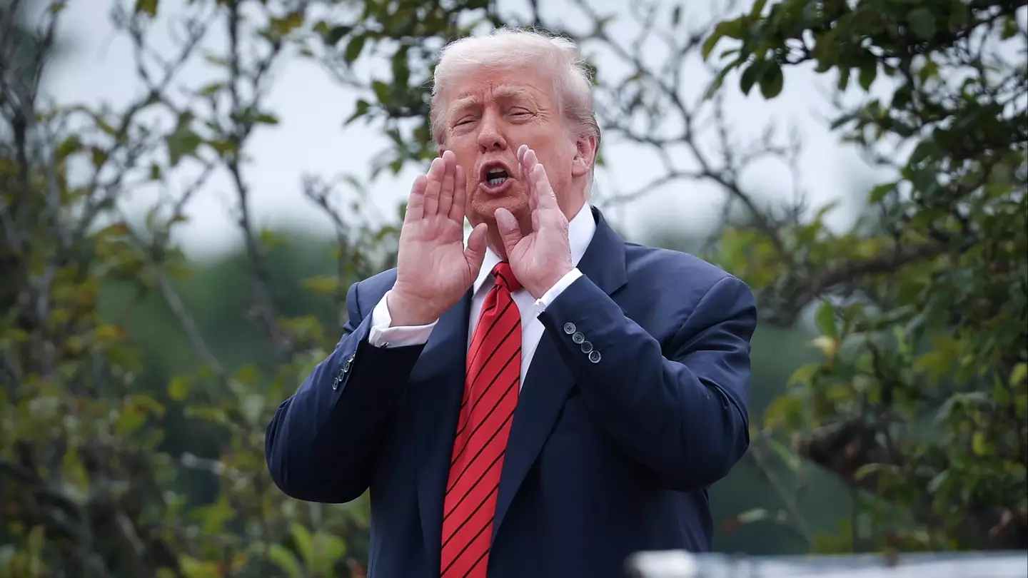 Trump fuels concern after people notice two major sections missing from official Constitution