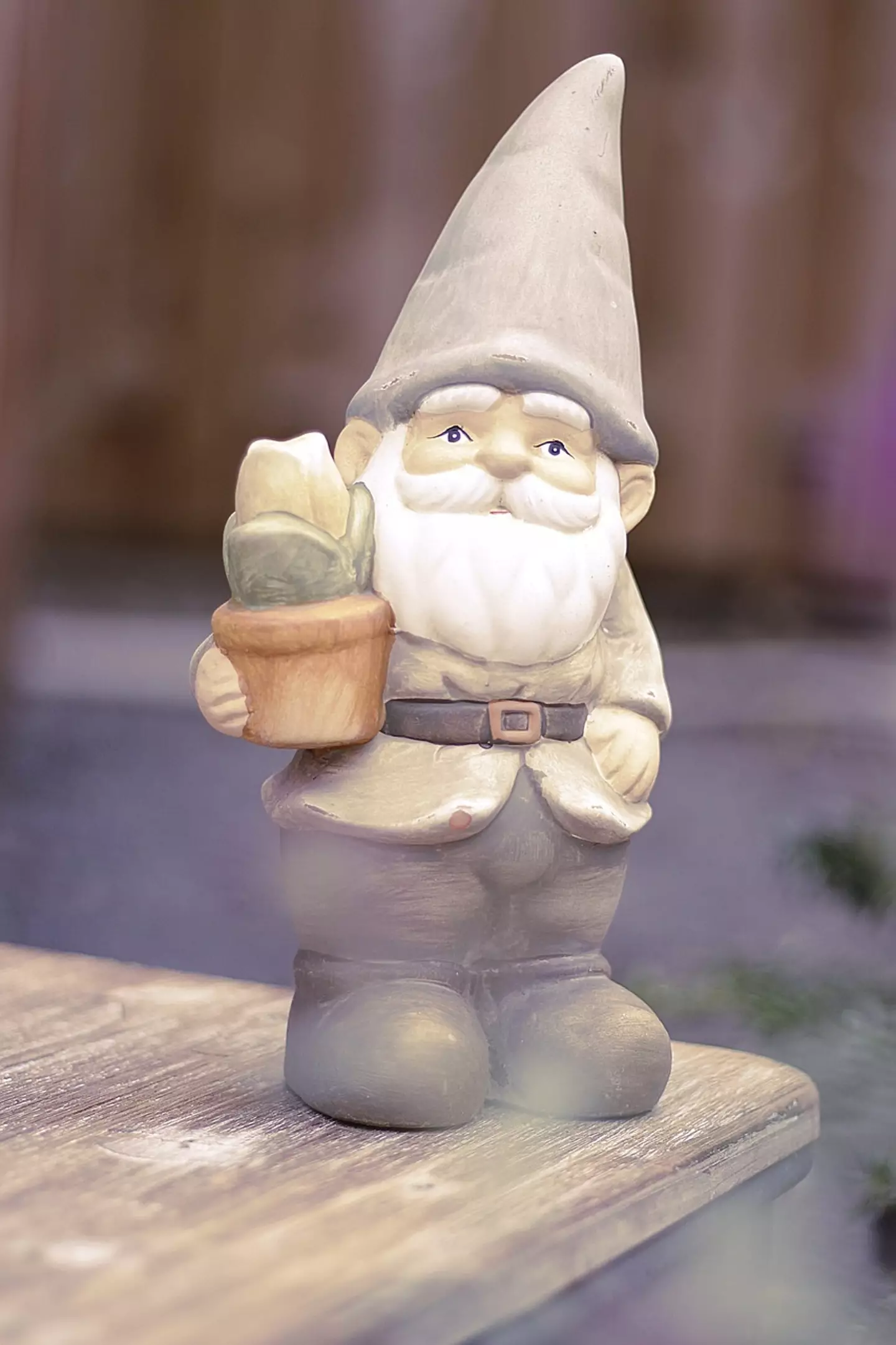 Garden gnomes apparently have a 'hidden' meaning.