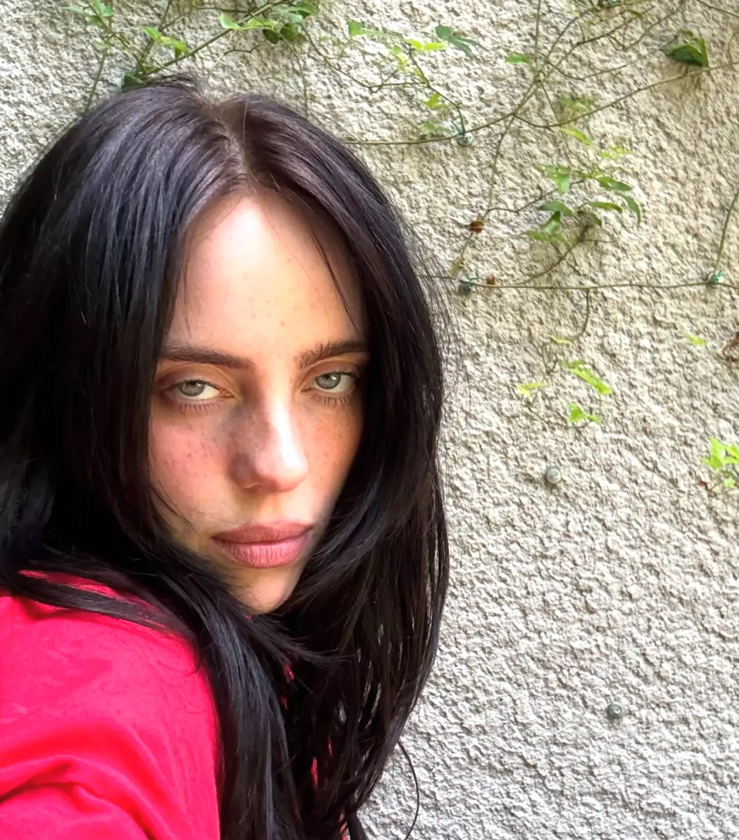 Eilish recently donated $11.5 million of her reported $53 million net worth, as of 2020, to charity (Instagram/@billieeilish)