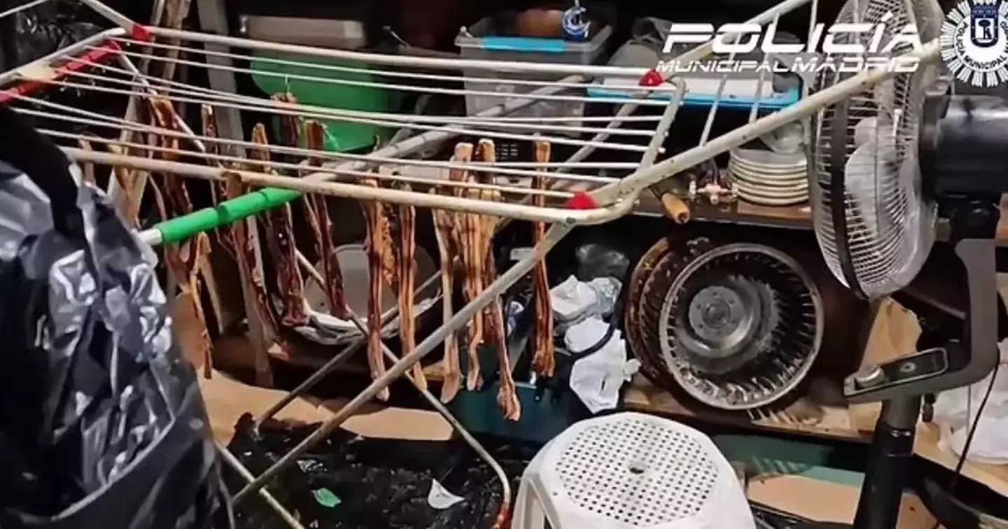 Officers discovered several serious health code violations (Policia Municipal de Madrid)