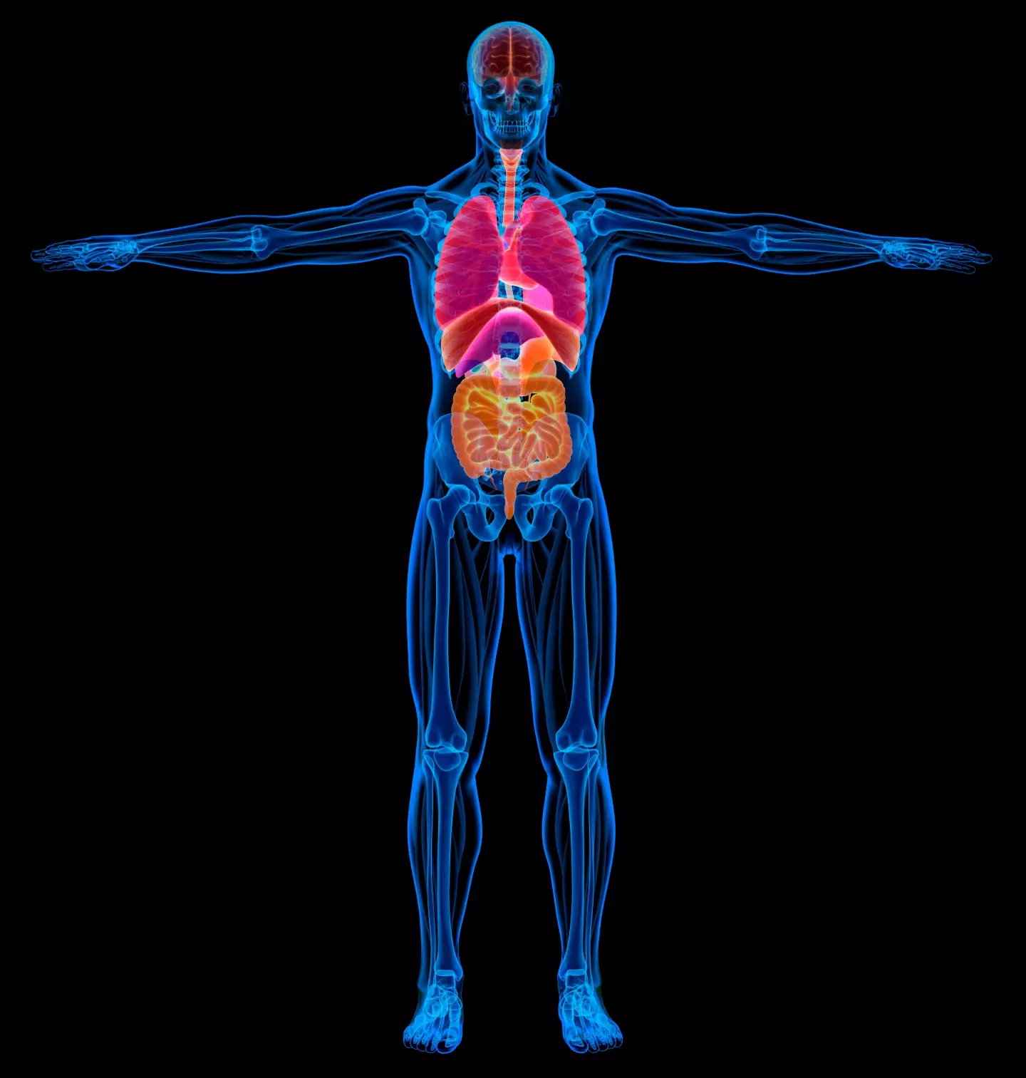 Nicotine affects the brain and body, which is why withdrawal feels physical as well as mental (Getty Stock Images)