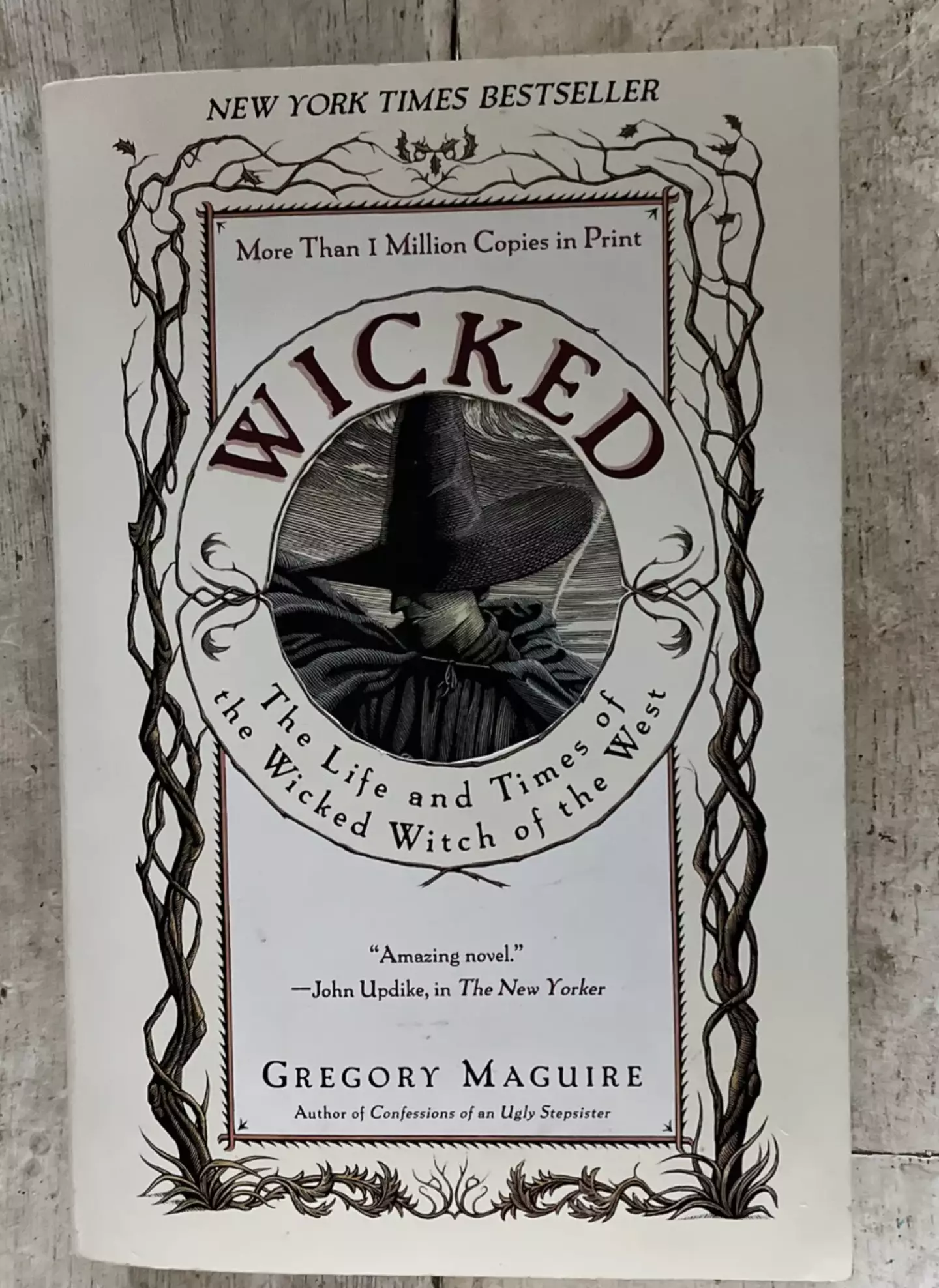 Gregory Maguire's Wicked novel came out back in 1995 and inspired the Broadway and West End productions (eBay)