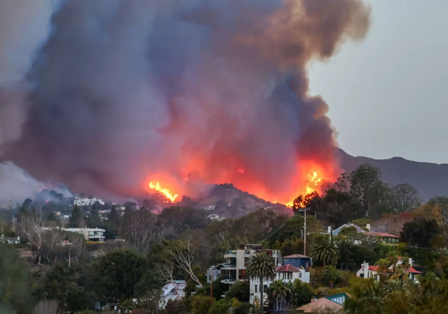 Many celebrities live in Pacific Palisades (Tiffany Rose/Getty Images)