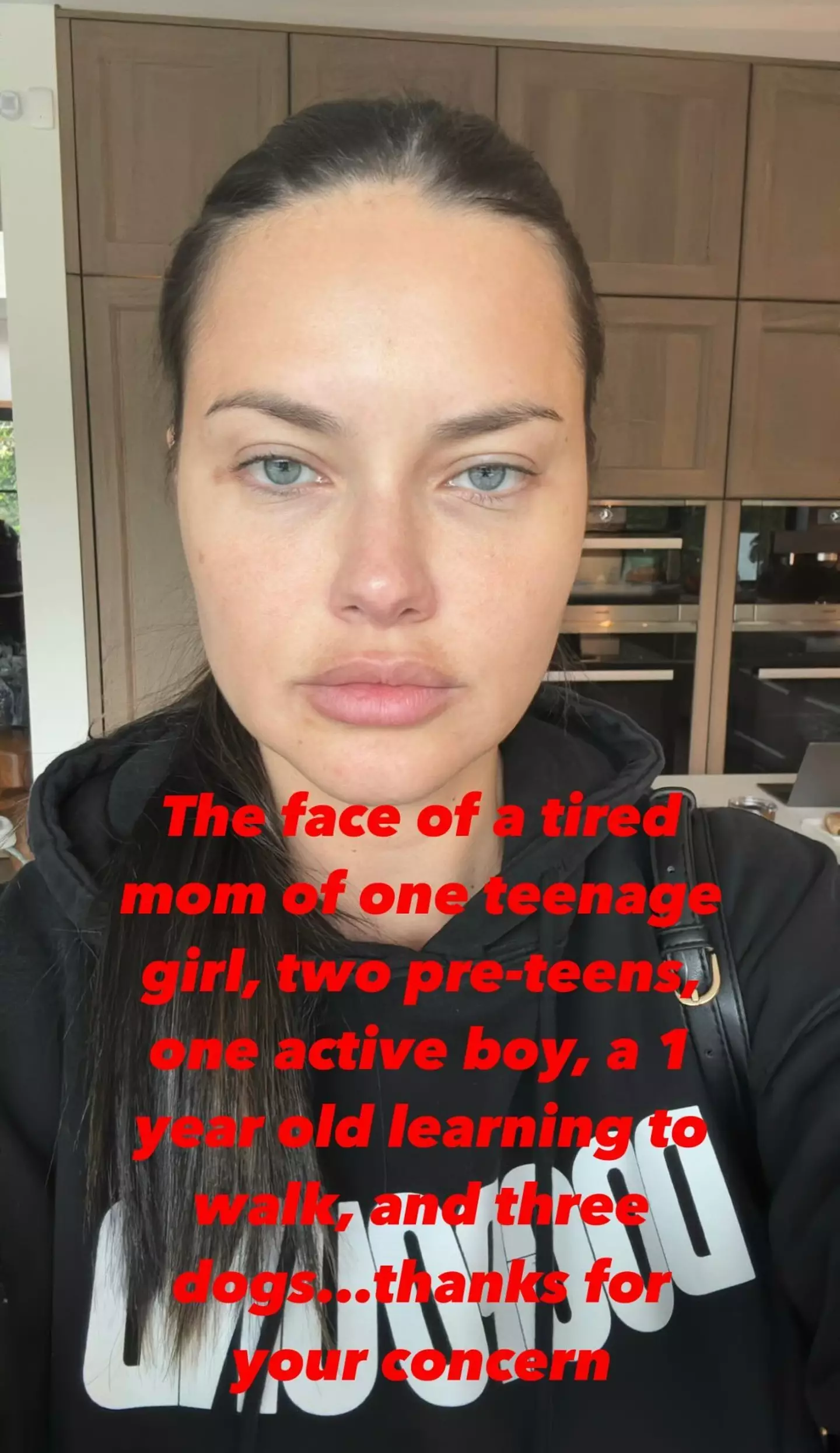 Fans supported Adriana as she hit back at trolls on Instagram.