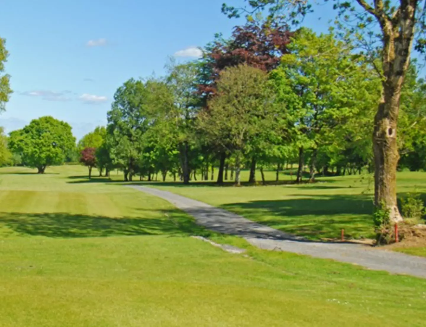 Margo was an avid golfer in Ireland.