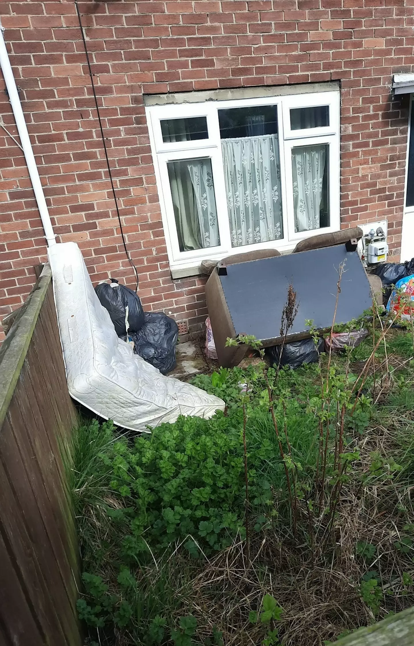 The dog owner was hit with a £750 fine.