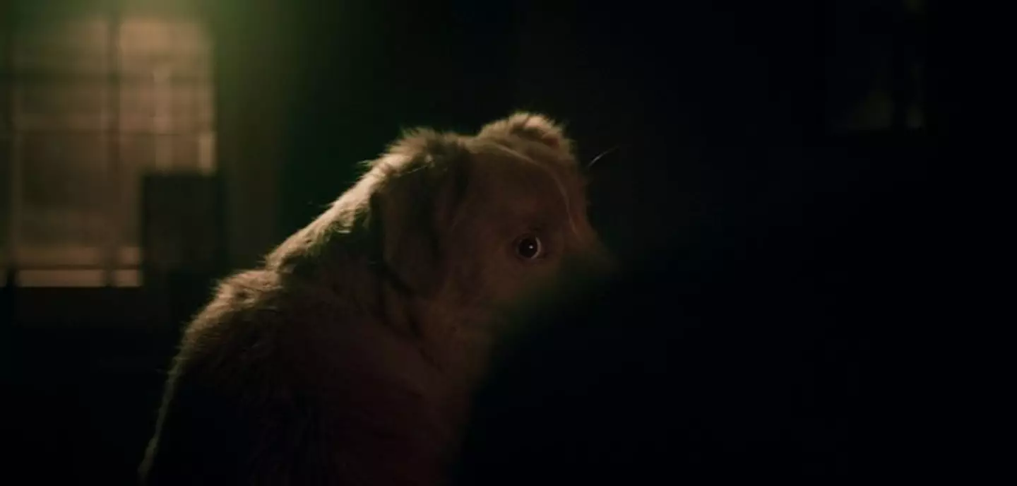 The decision has caused controversy among film fans (Independent Film Company)