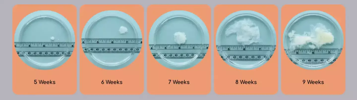 People have been 'stunned' and 'surprised' by the images.