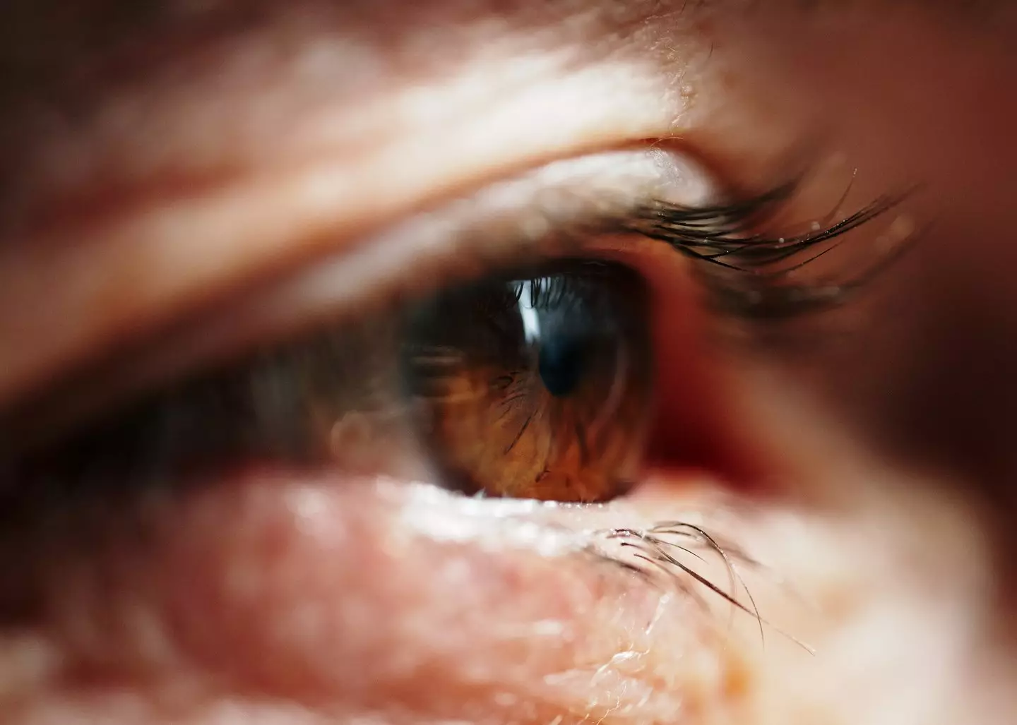 People lose anywhere between one and five eyelashes every day, on average (Getty Stock Images)